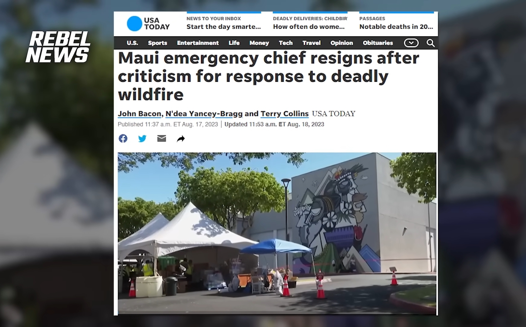 Democrats believe Hawaiians are morons